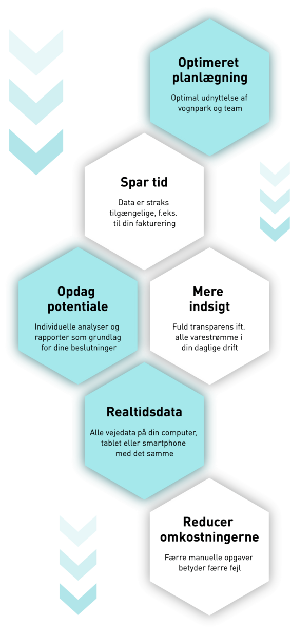 pfreundt_wabengrafik_webportal_2_wabengrafik_hoch_dnk.png 