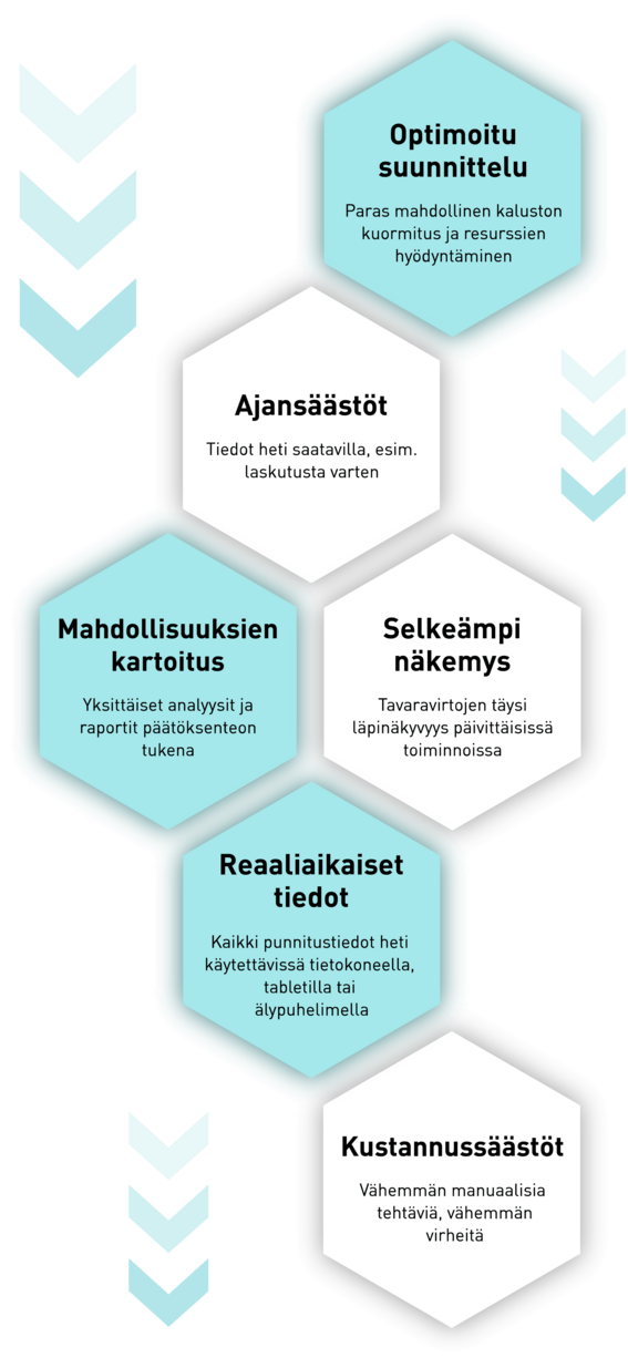 pfreundt_wabengrafik_webportal_2_wabengrafik_hoch_fin.png 