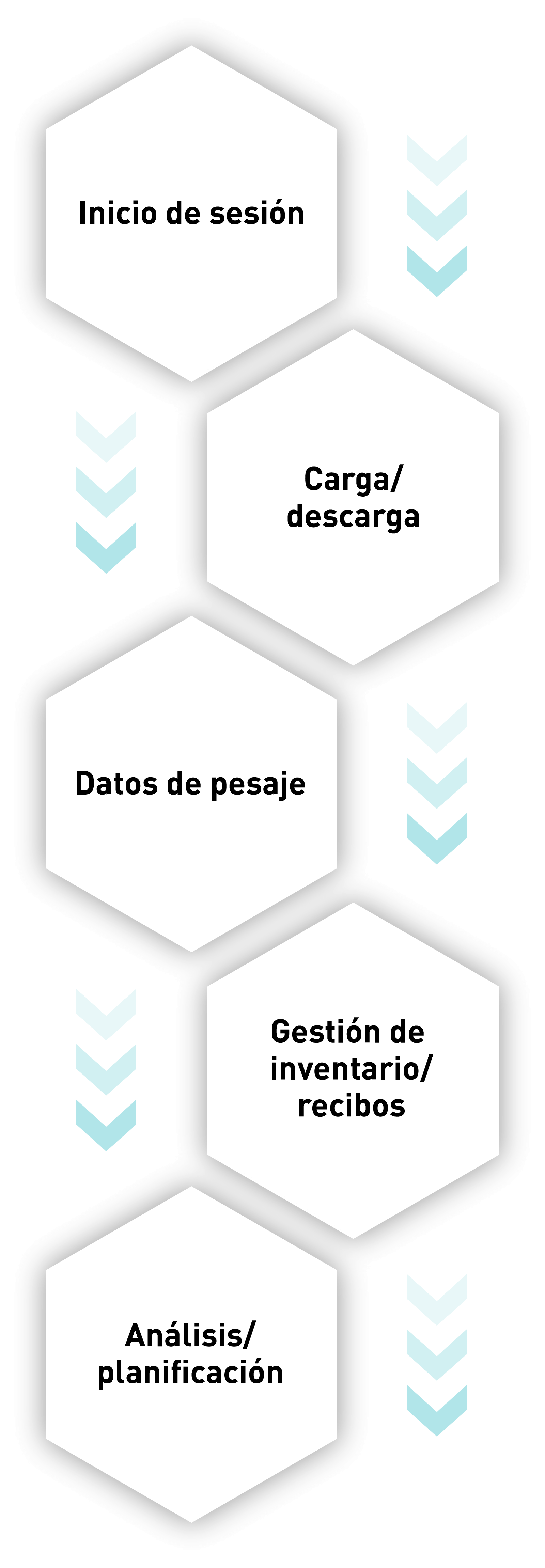 pfreundt_wabengrafik_prozesskette_systemloesungen_2_wabengrafik_hoch_esp.png
