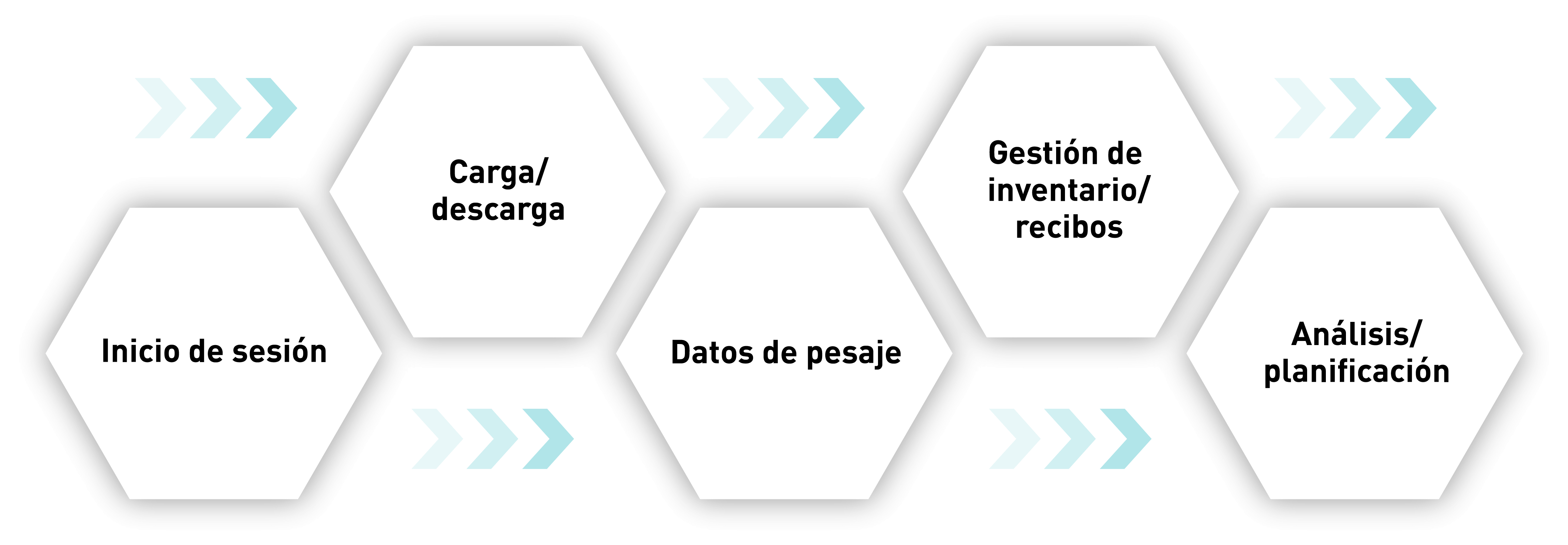 Flujo de la cadena de procesos para el registro en red de los datos de pesaje Gráfico de la cadena de procesos